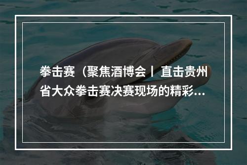 拳击赛（聚焦酒博会丨 直击贵州省大众拳击赛决赛现场的精彩闪躲抱击）
