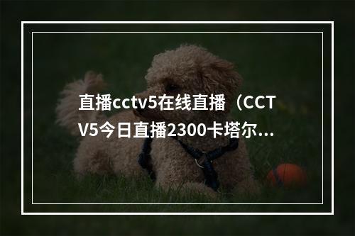 直播cctv5在线直播（CCTV5今日直播2300卡塔尔世界杯14决赛克罗地亚巴西）