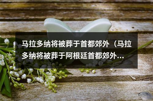 马拉多纳将被葬于首都郊外（马拉多纳将被葬于阿根廷首都郊外告别现场发生暴力事件球王马拉多纳趋势阿根廷全国哀悼三天）
