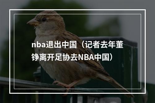 nba退出中国（记者去年董铮离开足协去NBA中国）