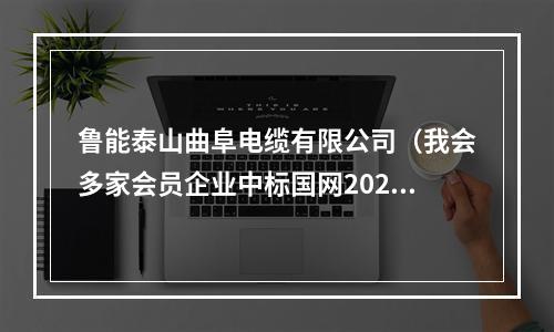 鲁能泰山曲阜电缆有限公司（我会多家会员企业中标国网2023年第六十五批采购推荐候选人名单）