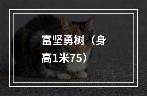 富坚勇树（身高1米75）