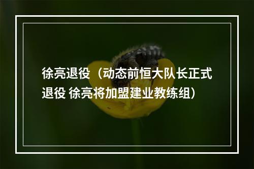 徐亮退役（动态前恒大队长正式退役 徐亮将加盟建业教练组）