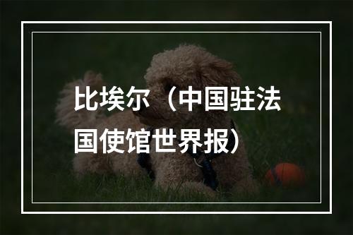 比埃尔（中国驻法国使馆世界报）