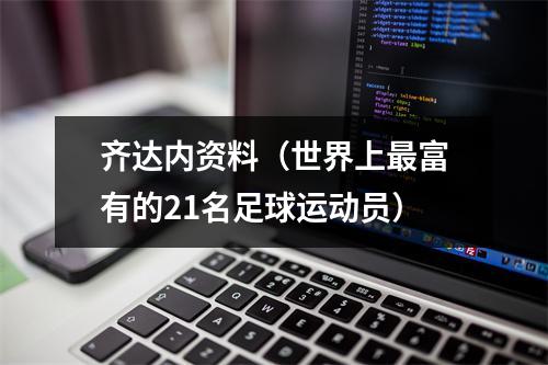 齐达内资料（世界上最富有的21名足球运动员）
