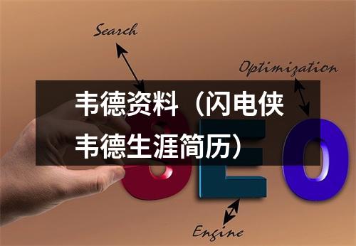 韦德资料（闪电侠韦德生涯简历）
