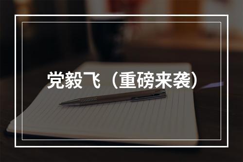 党毅飞（重磅来袭）
