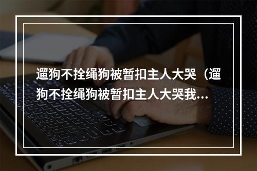 遛狗不拴绳狗被暂扣主人大哭（遛狗不拴绳狗被暂扣主人大哭我有绳子执法人员回怼为何不牵着）