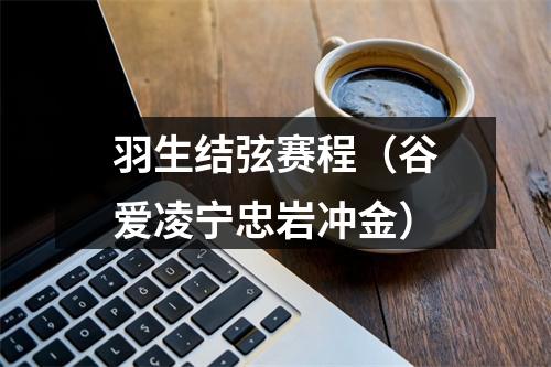 羽生结弦赛程（谷爱凌宁忠岩冲金）