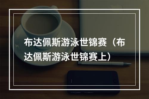 布达佩斯游泳世锦赛（布达佩斯游泳世锦赛上）