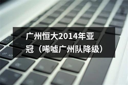 广州恒大2014年亚冠（唏嘘广州队降级）