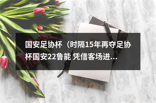 国安足协杯（时隔15年再夺足协杯国安22鲁能 凭借客场进球优势夺冠）