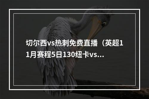 切尔西vs热刺免费直播（英超11月赛程5日130纽卡vs阿森纳切尔西连战热刺曼城）