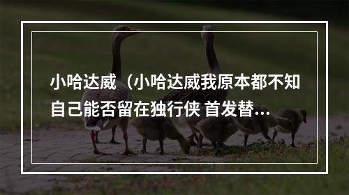 小哈达威（小哈达威我原本都不知自己能否留在独行侠 首发替补对我没差别）
