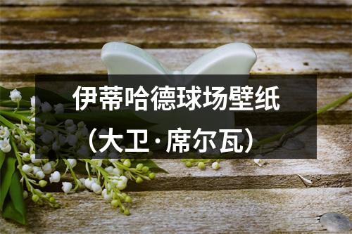 伊蒂哈德球场壁纸（大卫·席尔瓦）