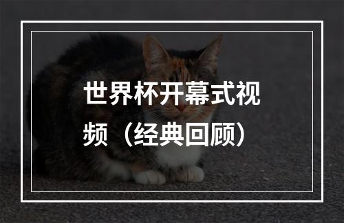 世界杯开幕式视频（经典回顾）