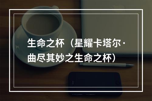 生命之杯（星耀卡塔尔·曲尽其妙之生命之杯）
