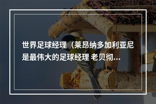 世界足球经理（莱昂纳多加利亚尼是最伟大的足球经理 老贝彻底改变了足球米兰）