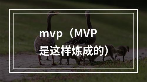 mvp（MVP是这样炼成的）