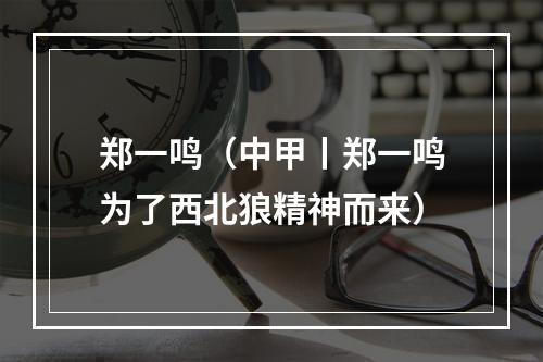 郑一鸣（中甲丨郑一鸣为了西北狼精神而来）