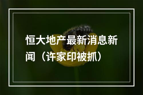 恒大地产最新消息新闻（许家印被抓）