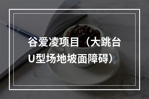 谷爱凌项目（大跳台U型场地坡面障碍）