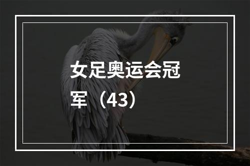 女足奥运会冠军（43）