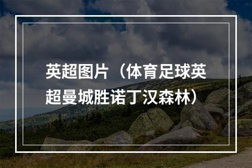 英超图片（体育足球英超曼城胜诺丁汉森林）
