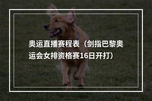 奥运直播赛程表（剑指巴黎奥运会女排资格赛16日开打）