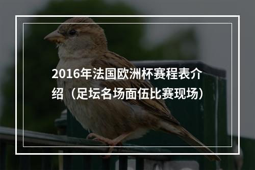 2016年法国欧洲杯赛程表介绍（足坛名场面伍比赛现场）