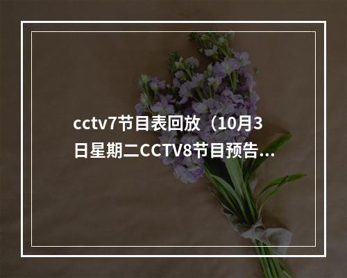 cctv7节目表回放（10月3日星期二CCTV8节目预告）