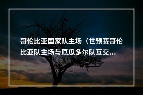 哥伦比亚国家队主场（世预赛哥伦比亚队主场与厄瓜多尔队互交白卷）