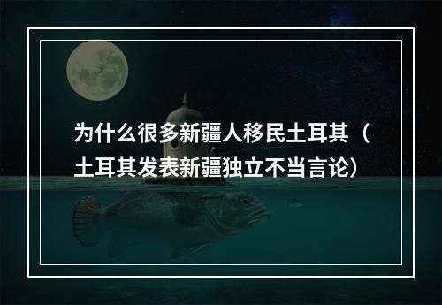 为什么很多新疆人移民土耳其（土耳其发表新疆独立不当言论）