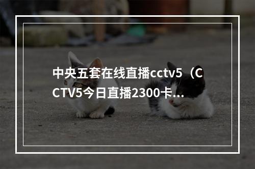 中央五套在线直播cctv5（CCTV5今日直播2300卡塔尔世界杯14决赛克罗地亚巴西）