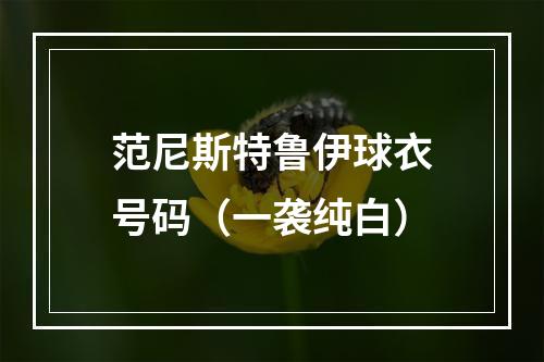范尼斯特鲁伊球衣号码（一袭纯白）