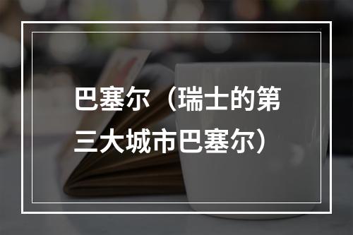 巴塞尔（瑞士的第三大城市巴塞尔）