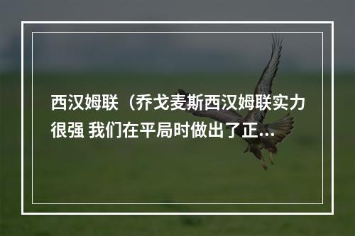 西汉姆联（乔戈麦斯西汉姆联实力很强 我们在平局时做出了正确的调整）