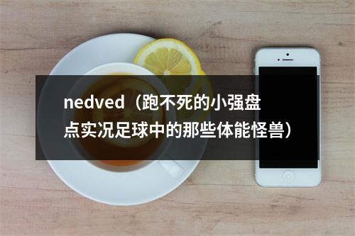 nedved（跑不死的小强盘点实况足球中的那些体能怪兽）