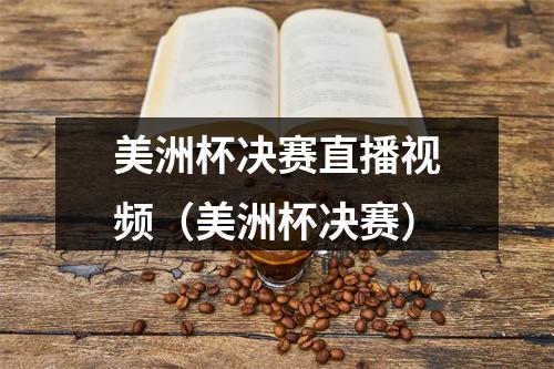 美洲杯决赛直播视频（美洲杯决赛）