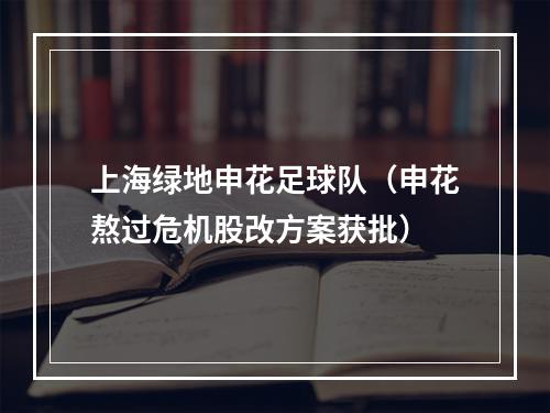 上海绿地申花足球队（申花熬过危机股改方案获批）