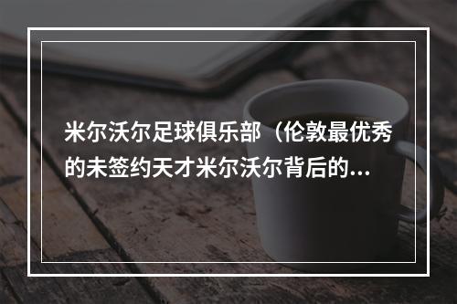 米尔沃尔足球俱乐部（伦敦最优秀的未签约天才米尔沃尔背后的足球慈善机构）