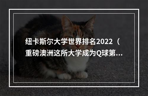 纽卡斯尔大学世界排名2022（重磅澳洲这所大学成为Q球第一2022THE世界大学影响力排名）