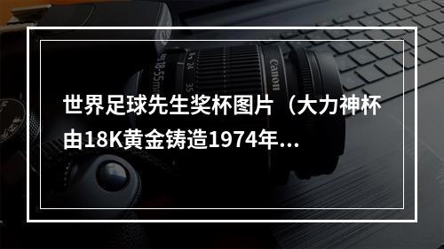 世界足球先生奖杯图片（大力神杯由18K黄金铸造1974年首次使用）