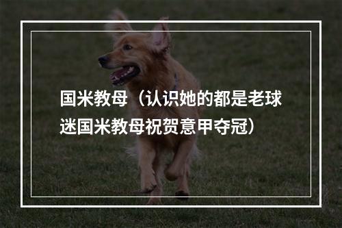 国米教母（认识她的都是老球迷国米教母祝贺意甲夺冠）