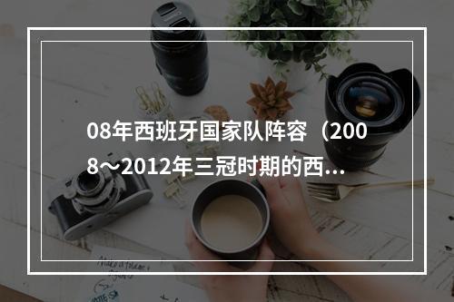 08年西班牙国家队阵容（2008～2012年三冠时期的西班牙队夺冠全过程）