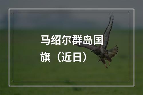 马绍尔群岛国旗（近日）