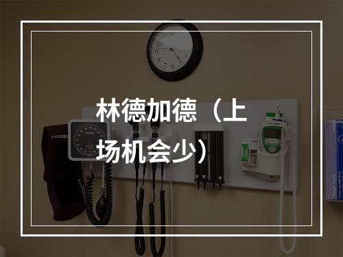 林德加德（上场机会少）