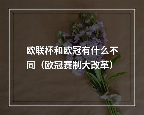 欧联杯和欧冠有什么不同（欧冠赛制大改革）