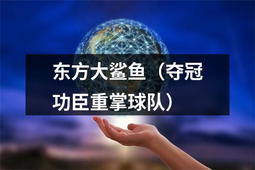 东方大鲨鱼（夺冠功臣重掌球队）