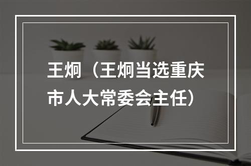 王炯（王炯当选重庆市人大常委会主任）
